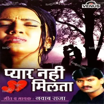 Pyaar Nahin Milta - Nawab Raja cover album