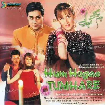 Hum Hogae Tumhare - Shiraz Uppal cover album