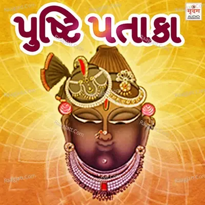 Pushti Pataka - Devisha Desai cover album