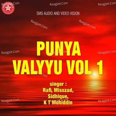 Punya Valyyu Vol.1 - Rafi cover album