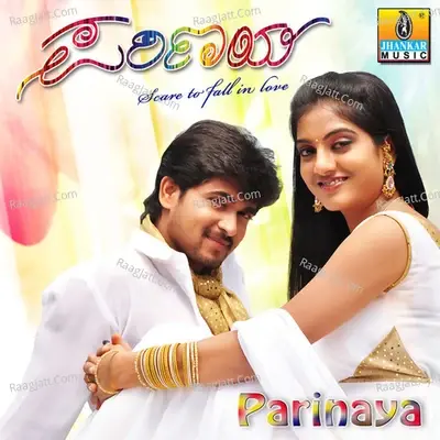 Parinaya (Original Motion Picture Soundtrack) - Anuradha Bhat cover album