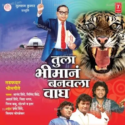 Tula Bhimaanam Banvla Vaagh - Anand Shinde cover album