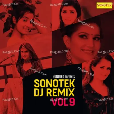 Sonotek DJ Remix Vol 9 -  cover album