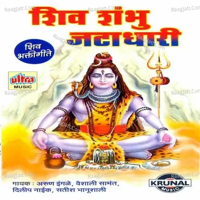 Shiv Shambhu Jatadhari - Arun Ingle cover album