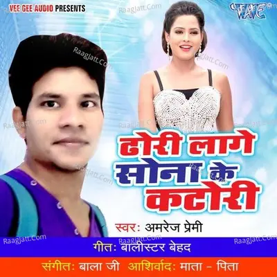 Dhodhi Lage Sona Ke Katori - Amrej Premi cover album