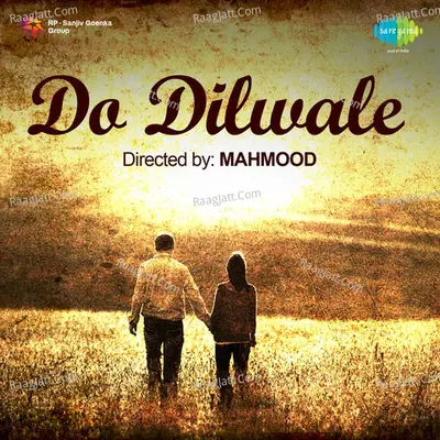 Do Dilwale - Omi cover album