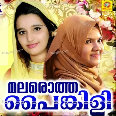 Malarotha Painkili - Meharin cover album