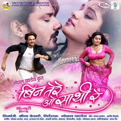 Bin Tere O Saathi Re - Gopal Pandey cover album