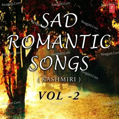 Sad Romantic Songs - Kashmiri Vol-2 - Mudasir Ali cover album