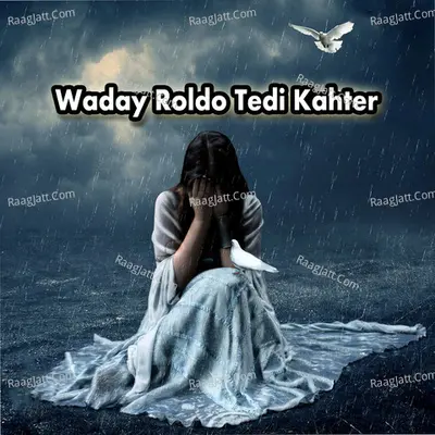 Waday Roldo Tedi Kahter - Mazhar Ali Mazhar cover album