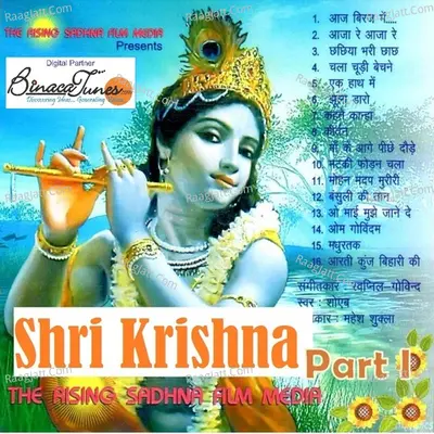 Sri Krishna I - Shoaib cover album