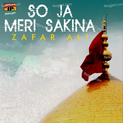 So Ja Meri Sakina - Zafar Ali cover album