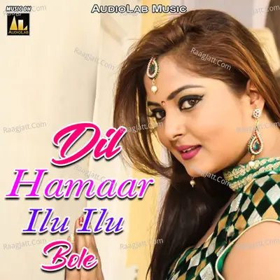 Dil Hamaar Ilu Ilu Bole -  cover album