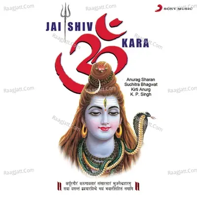 Jai Shiv Om Kara - Anurag Sharan cover album