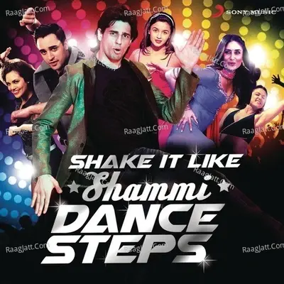 Shake It Like Shammi - Vishal Dadlani cover album