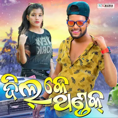 Dil K Thandak -  cover album