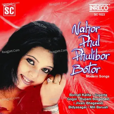 Nahor Phul Phulibor Botor - Vidyasagar cover album