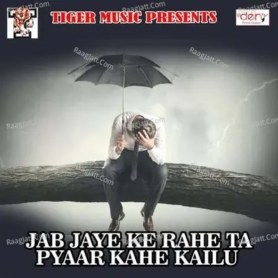 Jab Jaye Ke Rahe Ta Pyaar Kahe Kailu -  cover album