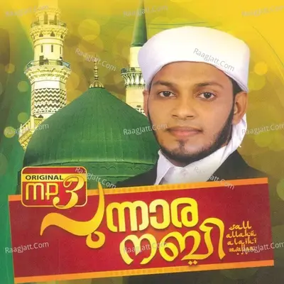 Punaara Nabi Vol 2 - Abdul Saleem cover album