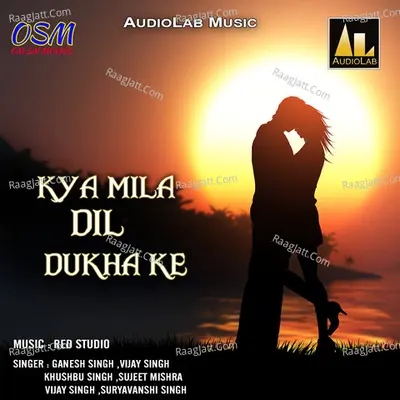 Kya Mila Dil Dukha Ke - Saket Nand cover album