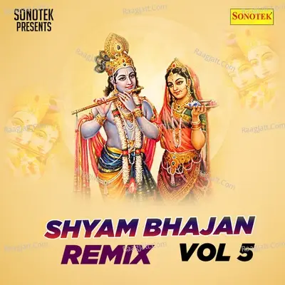 Shyam Bhajan Remix Vol 5 -  cover album