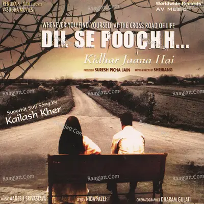 Dil Se Poochh Kidhar Jaana Hai (Original Motion Picture Soundtrack) - Aadesh Srivastava cover album