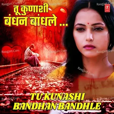 Tu Kunashi Bandhan Bandhle - Nikhil-Vinay cover album