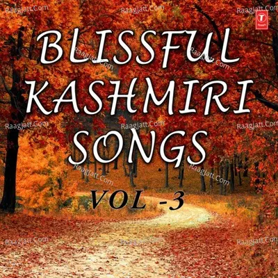 Blissful Kashmiri Songs Vol-3 - Gulam Hassan Sofi cover album