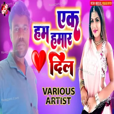 Ek Ham Hamaar Dil - Vikas Kumar cover album