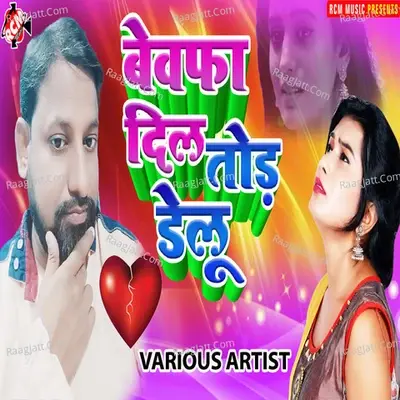 Bewafa Dil Tod Delu - RCM Music cover album