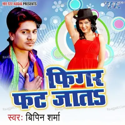 Figar Fat Jata - Bipin Sharma Urf Bipinama cover album