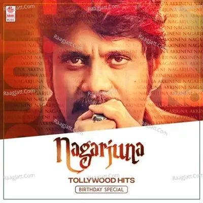 Nagarjuna Tollywood Hits - Birthday Special -  cover album