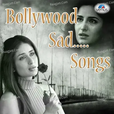 Bollywood Sad Songs - Nadeem-Shravan cover album