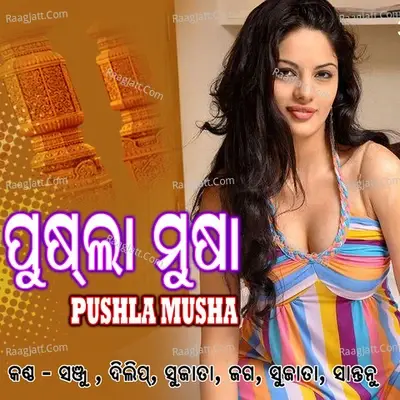 Pushla Musha - Dilip cover album