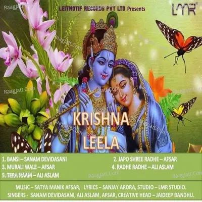 Krishna Leela - Sanam Devidasani cover album