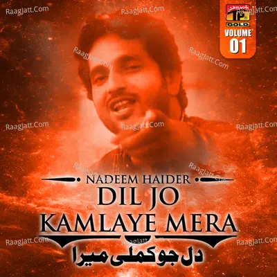 Dil Jo Kamlaye Mera, Vol. 1 - Nadeem Haider cover album