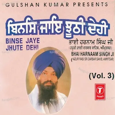 Binse Jaye Jhute Dehi - Bhai Harnam Singh cover album