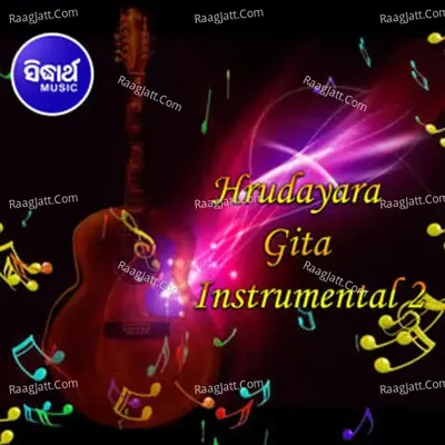 Hrudayara Gita Instrumental 2 -  cover album