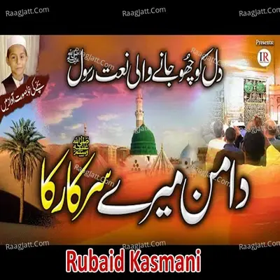 Daman Mere Sarkar Ka - Kaleem Waris Khan cover album