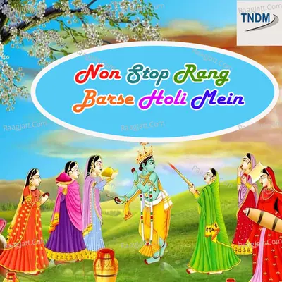 Non Stop Rang Barse Holi Mein - Ashok Sharma cover album