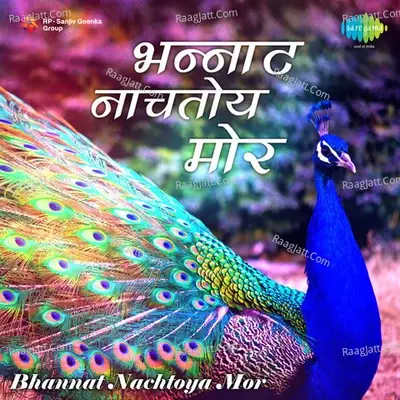 Bhannat Nachtoya Mor Marathi - Vitthal Shinde cover album