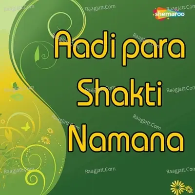 Aadipara Shakti Namana - Vid Gopi cover album