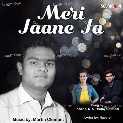 Meri Jaane Ja - Martin Clement cover album