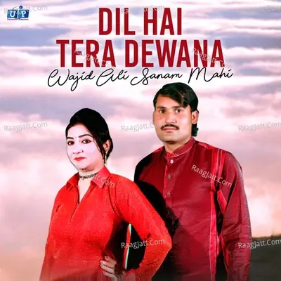 Dil Hai Tera Dewana - Wajid Ali cover album