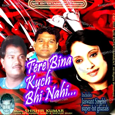 Tere Bina Kuch Bhi Nahi - Jaswant Singh cover album