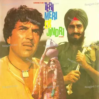 Teri Meri Ek Jindri - Narinder Biba cover album