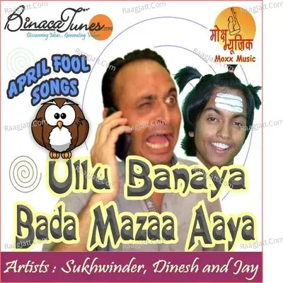 Ullu Banaya Bada Maza Aaya - Sukhwinder Singh cover album