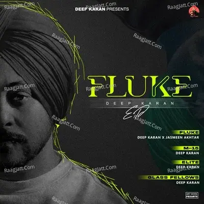 Fluke - Deep Karan cover album