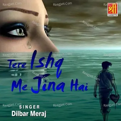 Tere Ishq Me Jina Hai - Dilbar Meraj cover album