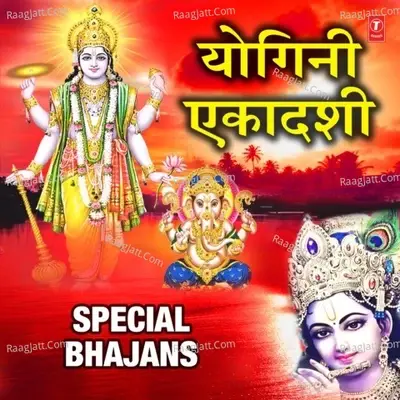 Yogini Ekadashi Special Bhajans - Lakhbir Singh Lakkha cover album